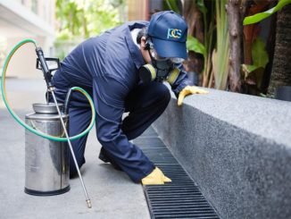 BEST REASONS TO HIRE A PEST CONTROL COMPANY