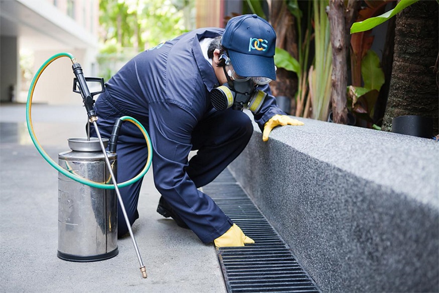 BEST REASONS TO HIRE A PEST CONTROL COMPANY
