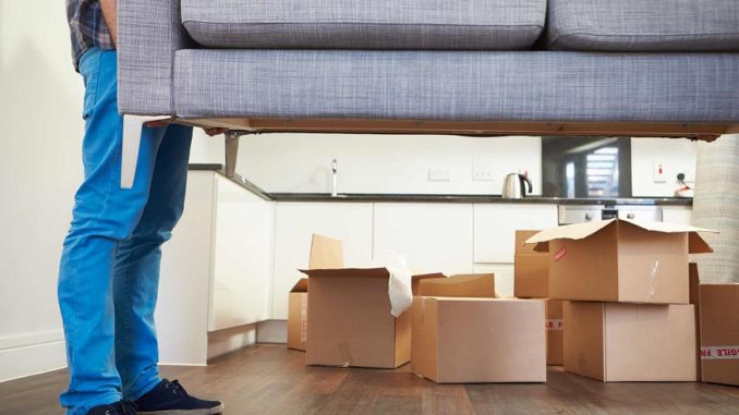 Why You Should Hire a Professional Moving Company