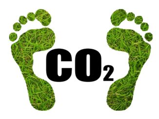 Discover the Best Ways to Reduce Carbon Footprint and Reduce Global Warming