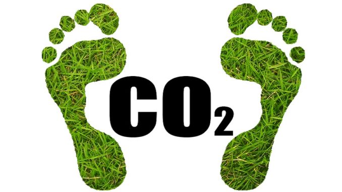 Discover the Best Ways to Reduce Carbon Footprint and Reduce Global Warming