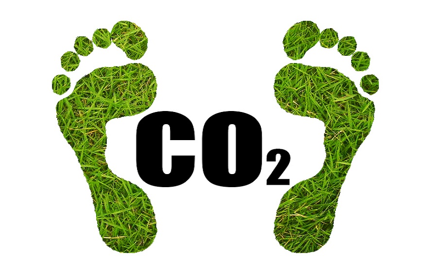 Discover the Best Ways to Reduce Carbon Footprint and Reduce Global Warming