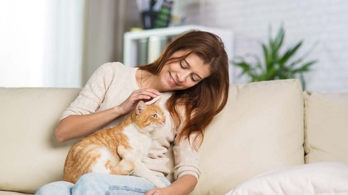 Cat in apartment