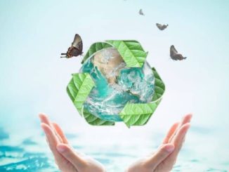 What Is Environmental Sustainability and How Can You Practice It in Daily Life