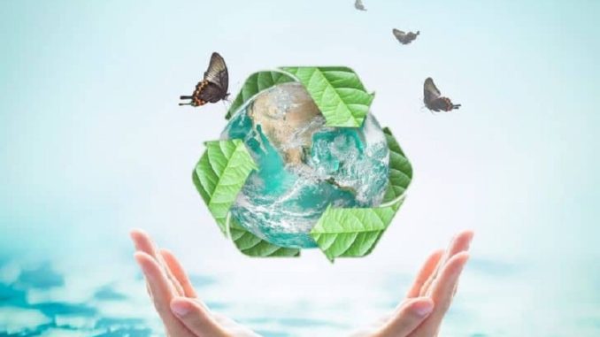 What Is Environmental Sustainability and How Can You Practice It in Daily Life