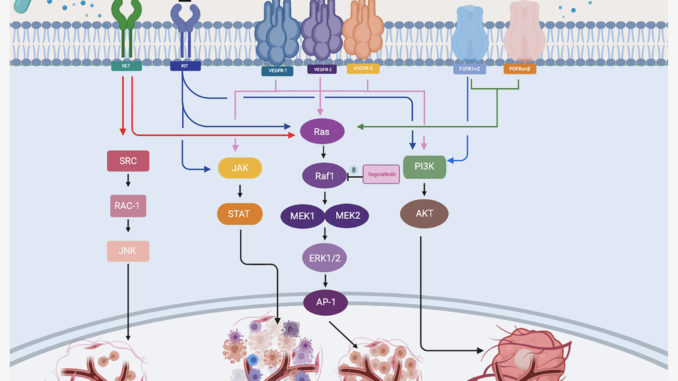 How Does Regorafenib Treat Hepatitis?