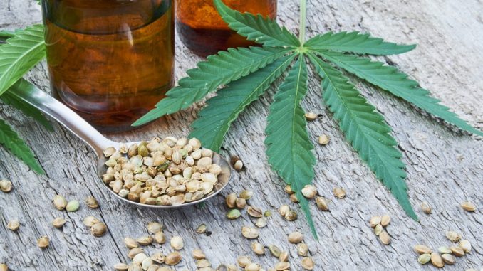 Understand More Information About the Cbd Oil