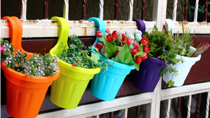 Pots And Planters