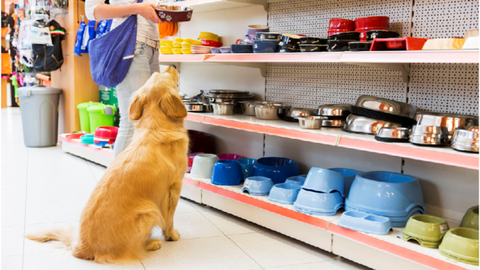 Pet Shop 101: Give Love And Care To Your Pets