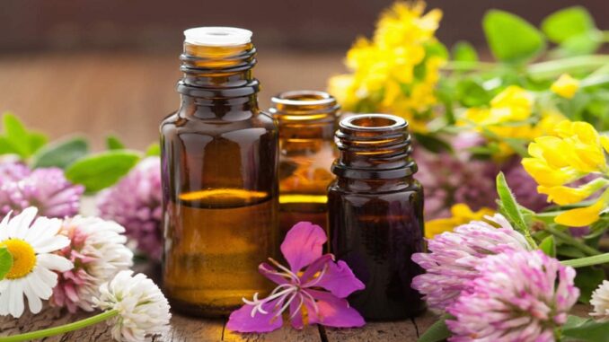 Should Have Aromatherapy Necessities | Memetizando.com